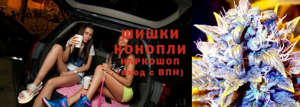 ешки Алексеевка