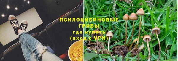 ешки Алексеевка