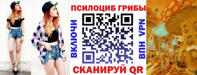 Псилоцибиновые грибы Cubensis  OMG зеркало  Камбарка 
